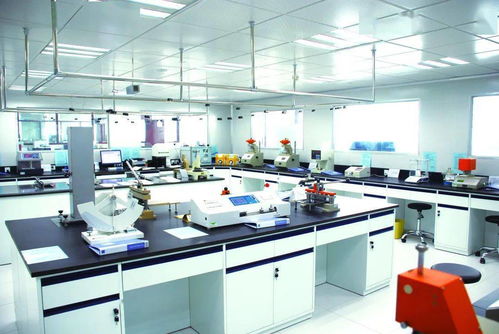 發揮中輕集團檢驗檢測綜合服務優勢，以科技中介服務賦能行業高質量發展