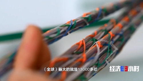 供不應求 國產光纖光模塊熱賣全球，光纜產業迎來黃金時代